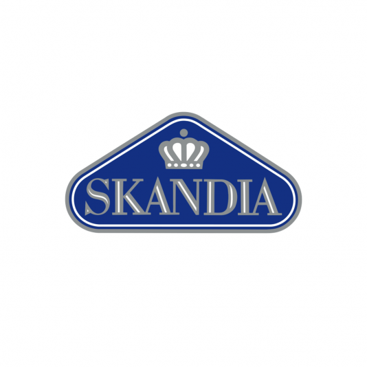 skandia_logo_weiss_groesser